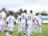 Slika 5