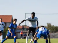 Slika 10