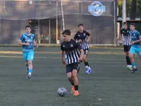 Slika 38