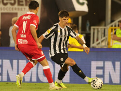 Slika 33