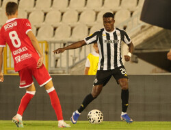 Slika 30