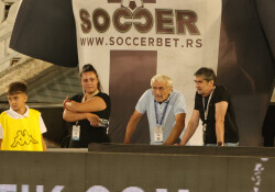 Slika 29