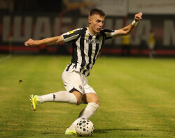 Slika 31