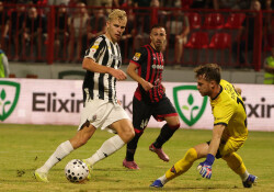 Slika 13