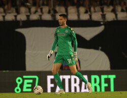 Slika 59