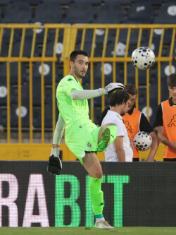 Slika 24