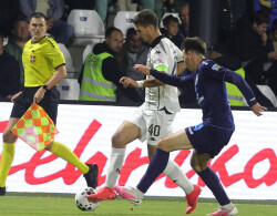 Slika 21