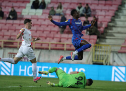 Slika 21