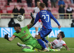 Slika 74